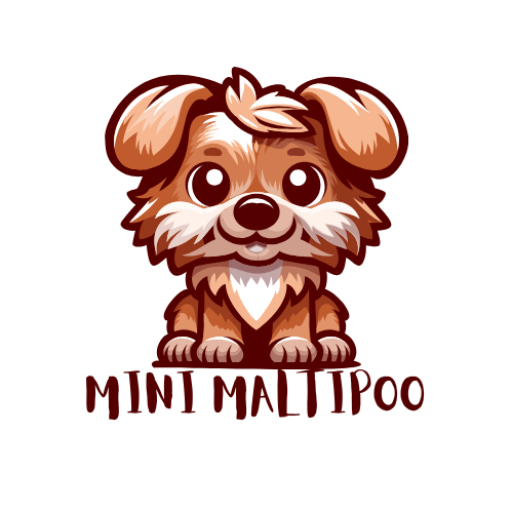 Mini Maltipoo Logo